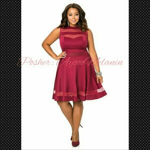 Burgundy Mesh Skater Dress (3X)